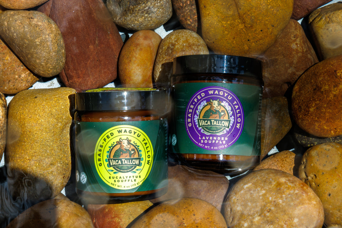 The Science Behind Tallow